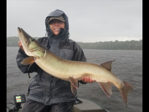 muskies do hit in a downpour
